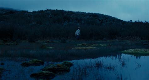 A Vanishing Fog 2025